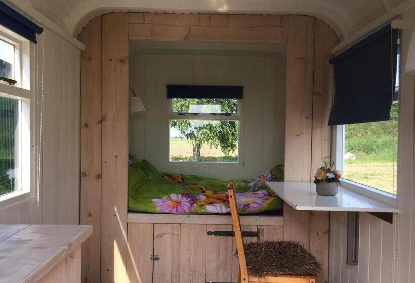 فندق Sitting At The Bay