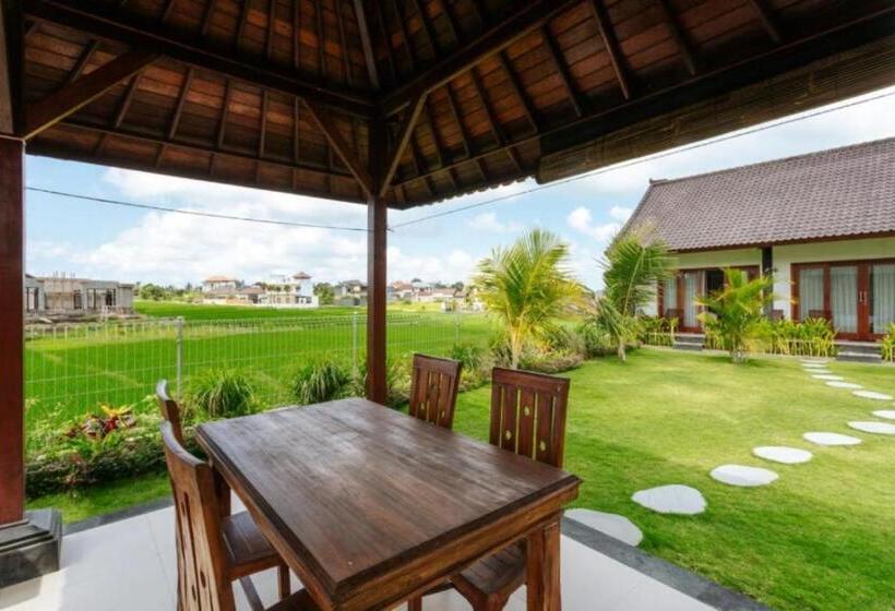 膳宿费 Carik Bali Guest House Canggu