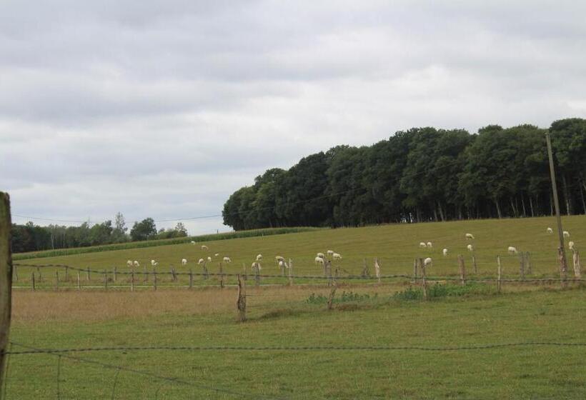 פנסיון Ferme Des Champs