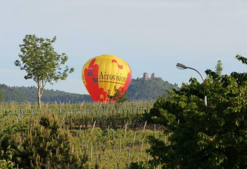بنسيون La Belle Alsacienne   Route Des Vins D Alsace