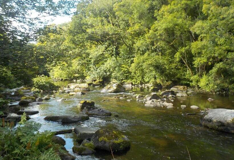 צימר Bretagne Chambre D Hôtes Suite 53m2 Et Caravane Vintage Avec Cuisine Et Salle De Bains Privées Britt