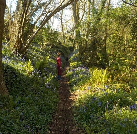 צימר Bretagne Chambre D Hôtes Suite 53m2 Et Caravane Vintage Avec Cuisine Et Salle De Bains Privées Britt