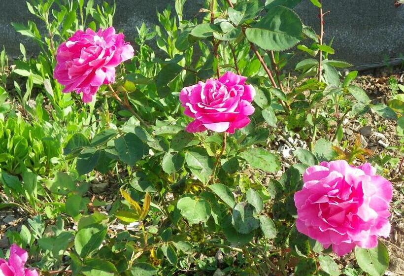 צימר Le Donjon De La Reine Margot