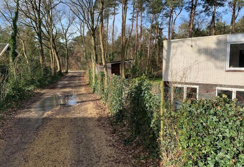 B&b  T Onderkomen
