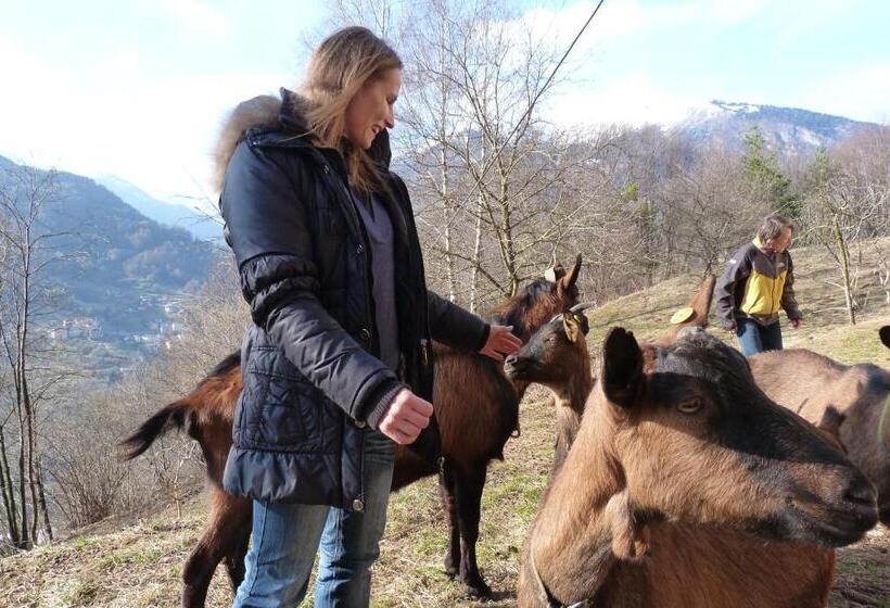 مبيت وإفطار Agriturismo La Meta