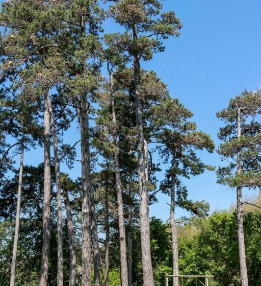 住宿加早餐  La Bastide De Negra