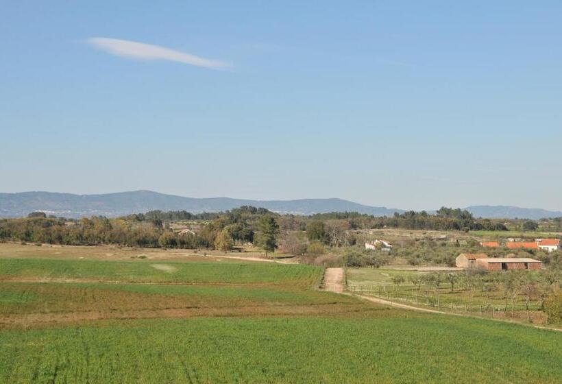 פנסיון Casa Da Lardosa