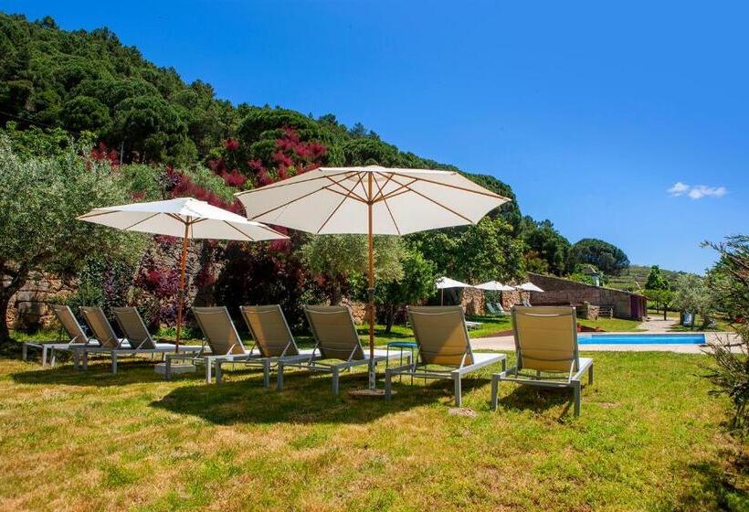 بنسيون Casal De Tralhariz   Turismo De Habitacao