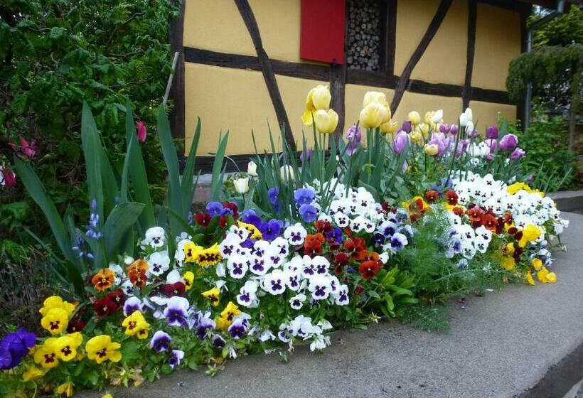 膳宿费 La Pomme De Pin