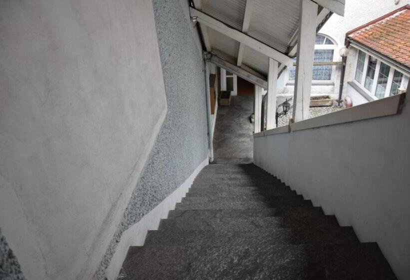 פנסיון Rohrbacher Hof