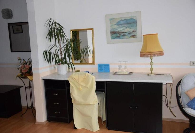 פנסיון Rohrbacher Hof