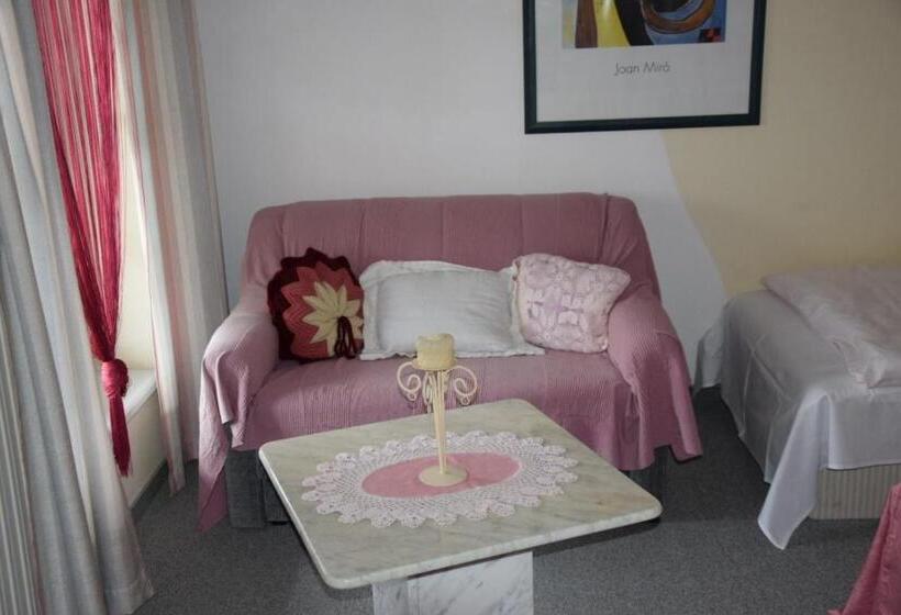 פנסיון Rohrbacher Hof