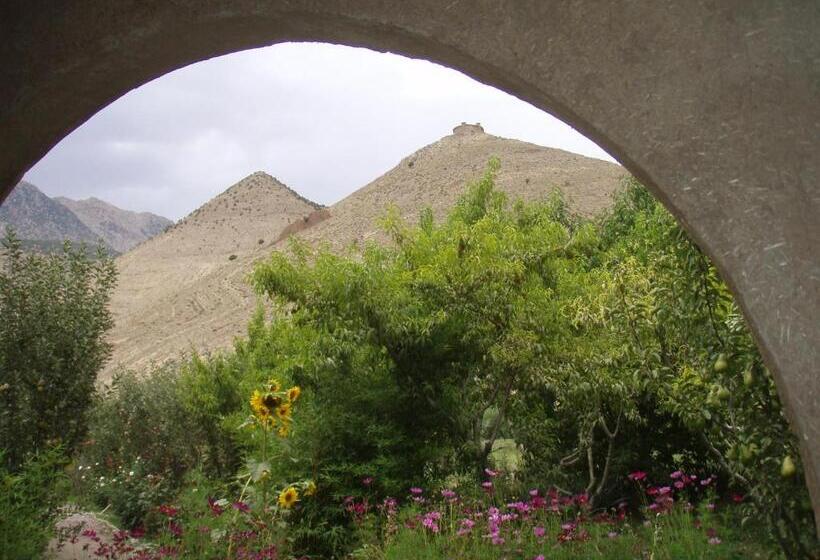 پانسیون Safranière Du M  Goun