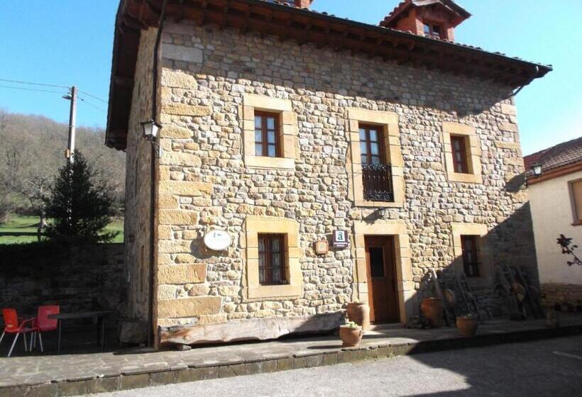旅馆 Posada Casa Molleda