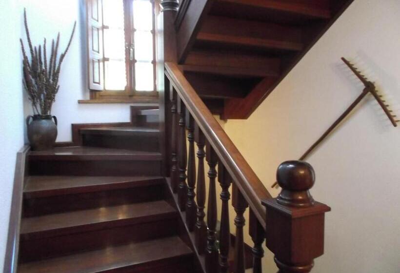 旅馆 Posada Casa Molleda