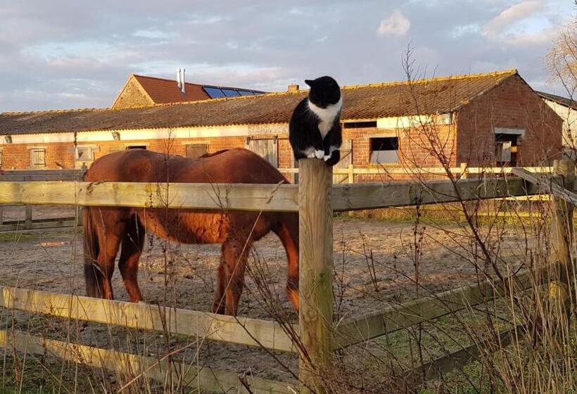 住宿加早餐 Au Soleil Vert Chambre De Charme Avec Spa Et Sauna Privés