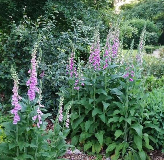 ベッドアンドブレックファースト Chambre E André Le Domaine Des Jardins De Bracquetuit