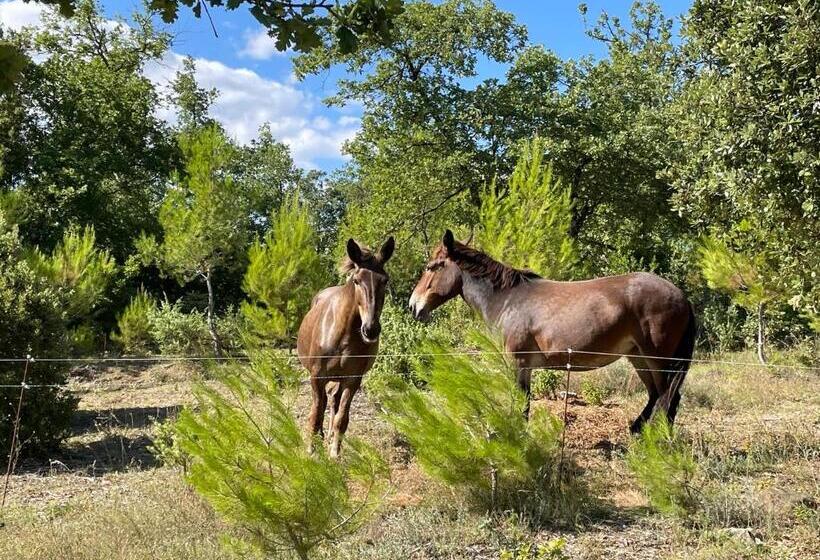 Bed and Breakfast Les Yourtes De Provence