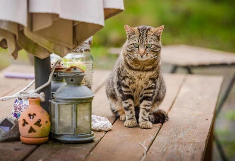 צימר Normandy Inn