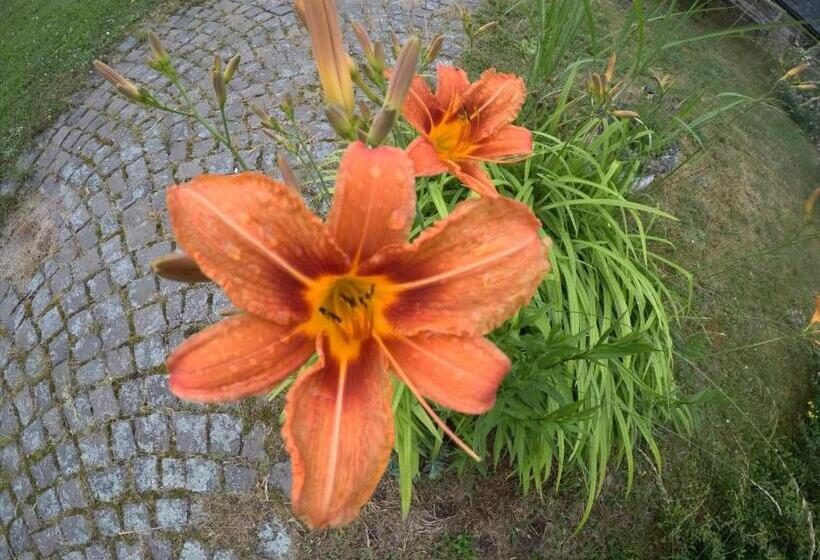 مبيت وإفطار Zum Alten Pfarrhaus