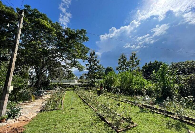 هتل บ้านภัทร์จรัส น่าน   Baan Patjarad Nan
