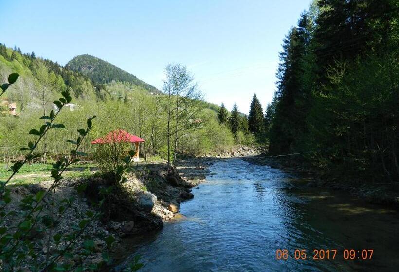 ホテル Yesilyayla Eko Turizm