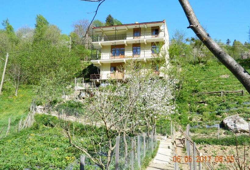 ホテル Yesilyayla Eko Turizm