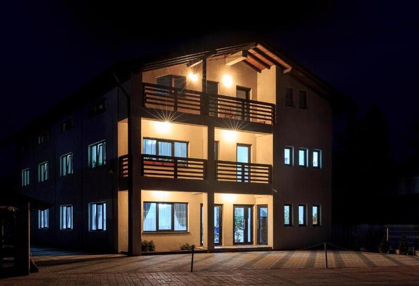 ペンション Enigma Bucovinei