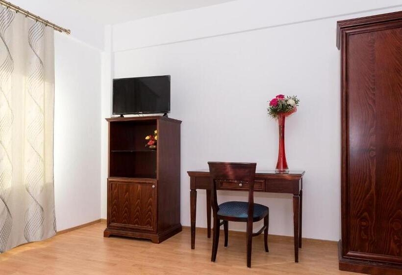 ペンション Enigma Bucovinei