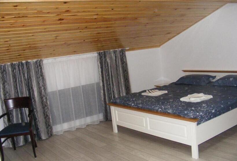 ペンション Enigma Bucovinei