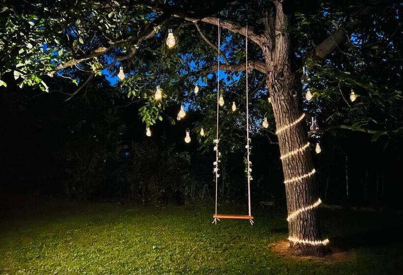 膳宿费 Tulipán Vendégház