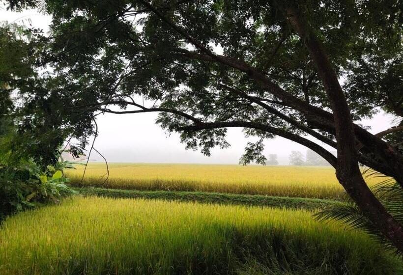 Пансион อุสาวิวรีสอร์ท