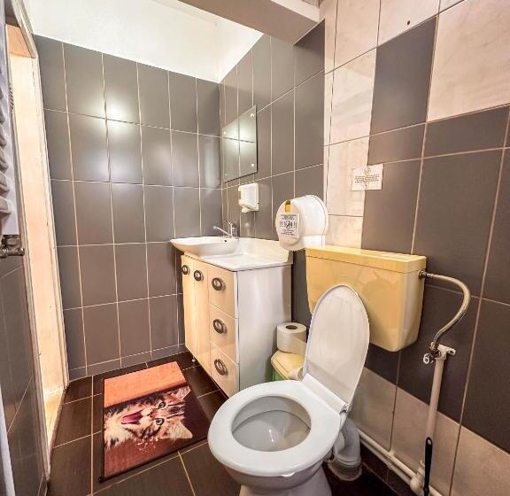 بنسيون Perla Brazilor