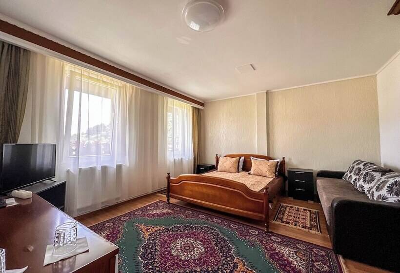 بنسيون Perla Brazilor