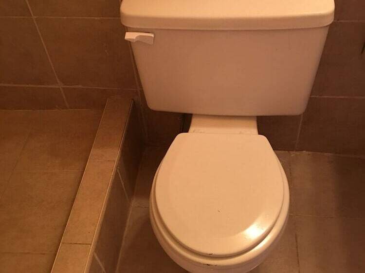 酒店 Reddy Inn And Suites