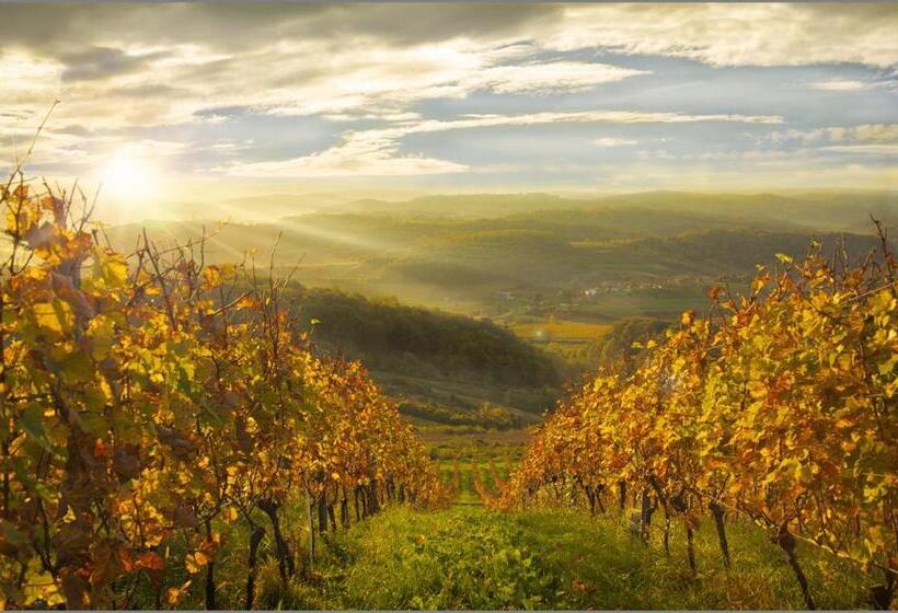 فندق Rooms Bolfan Vinski Vrh