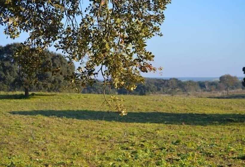 هتل Monte Da Chalaça