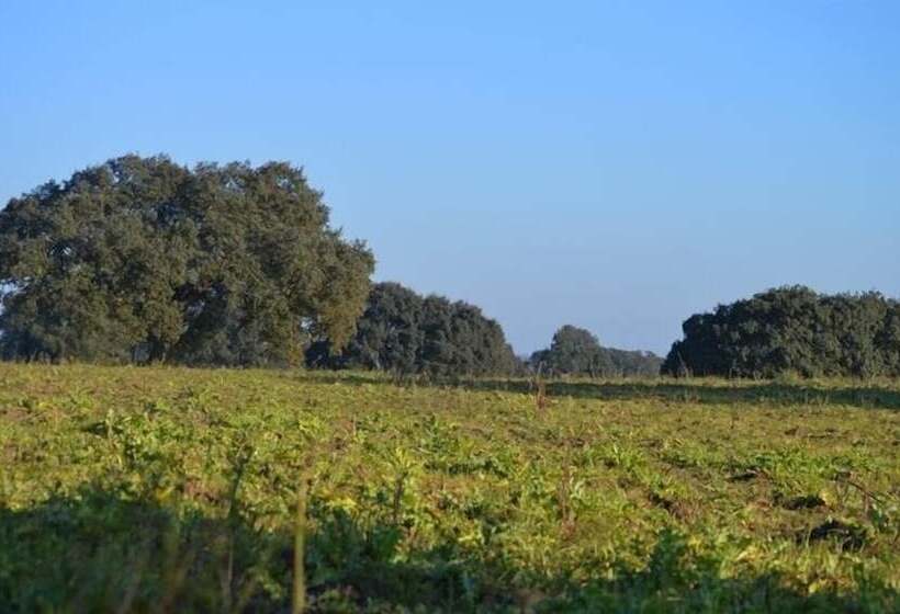 هتل Monte Da Chalaça