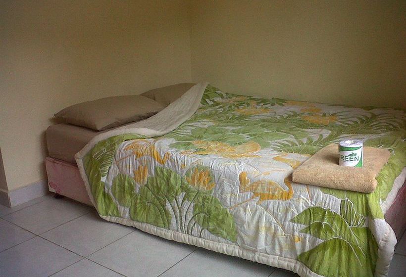 Bed and Breakfast Citrus Tree Arik