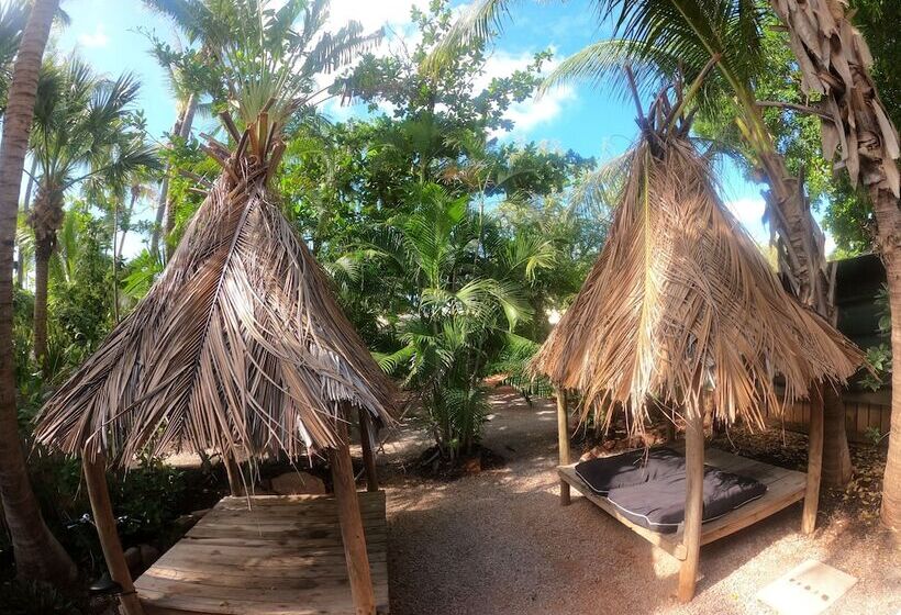 Cable Beach Backpackers   Hostel