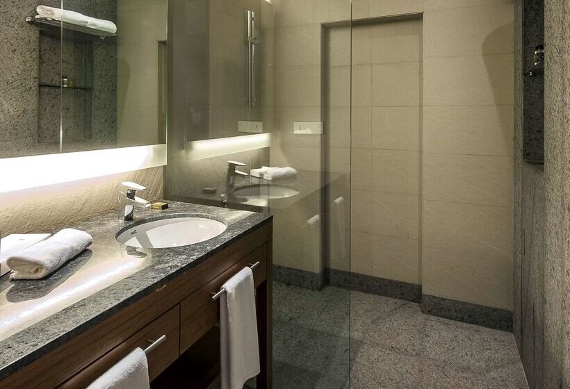 酒店 Hyatt Place Hampi