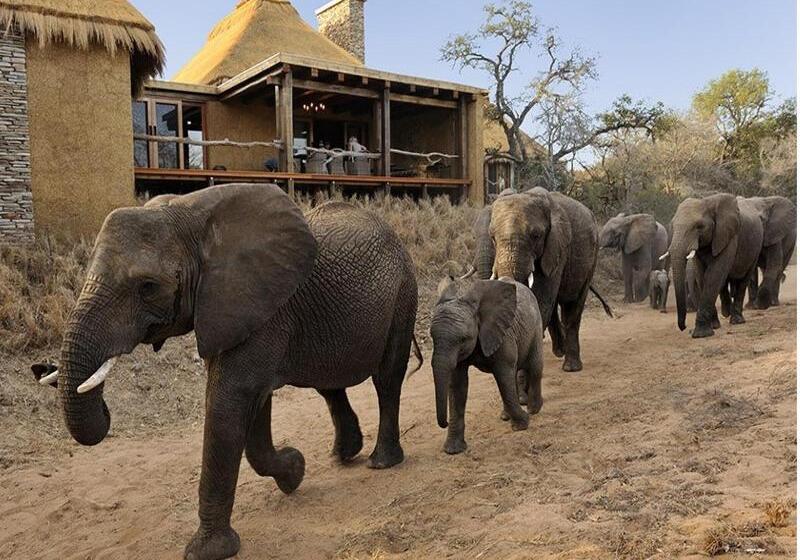 ホテル Jabulani Safari