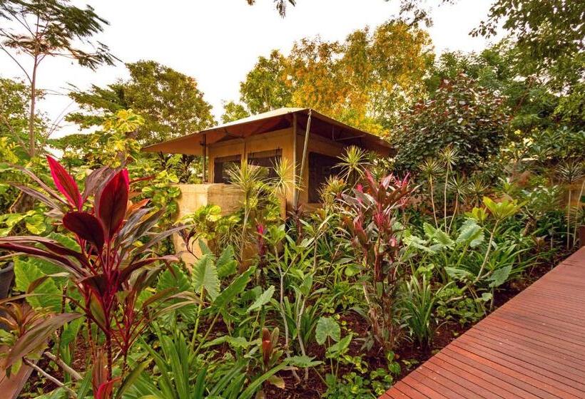 The Billi Resort