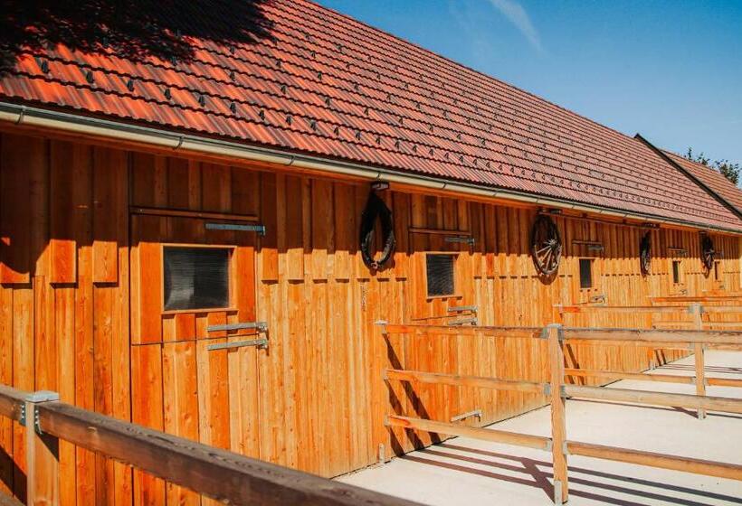 צימר Amd Chalet