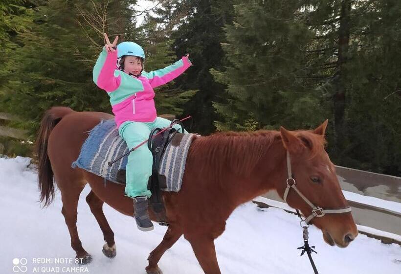 Отель Buehlerhof Agriturismo, Obst &weingut, Urlaub Mit Hund, Pferde, Bauernhof, Brixen