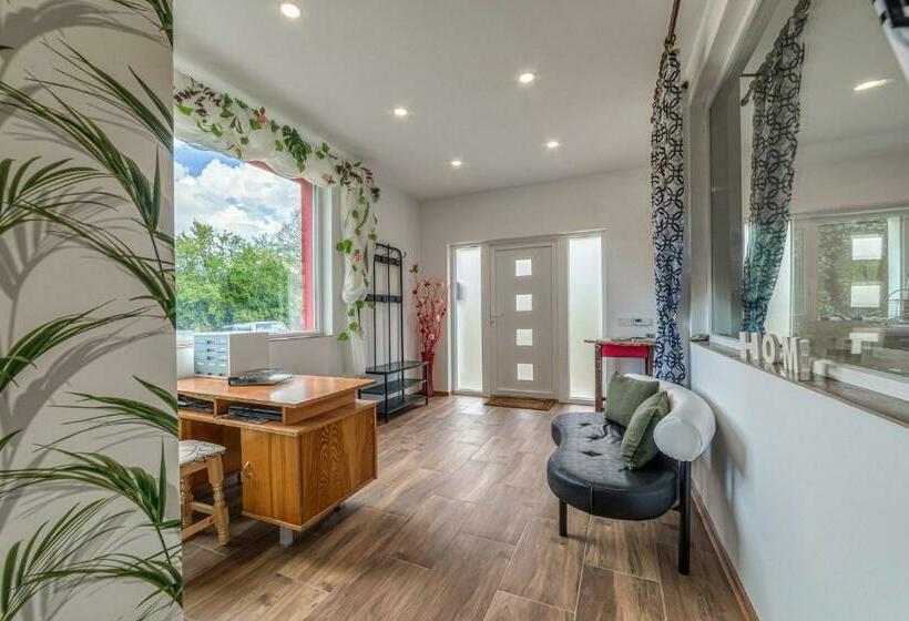 פנסיון Mountain View Lodge
