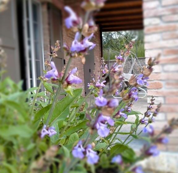 هاستل Affittacamere Maranello Locanda Moca