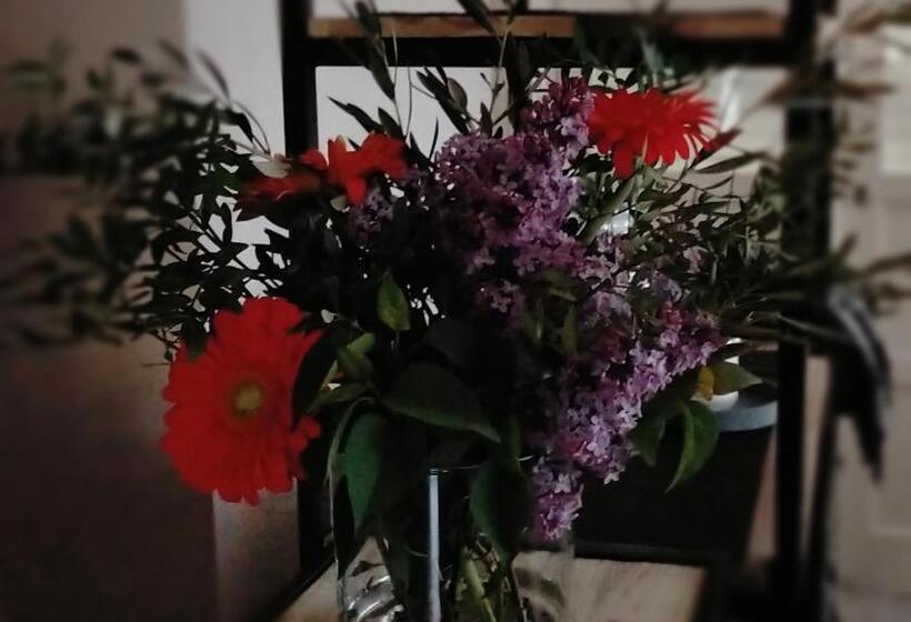 هاستل Affittacamere Maranello Locanda Moca