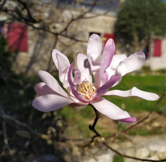 住宿加早餐  La Bisquine