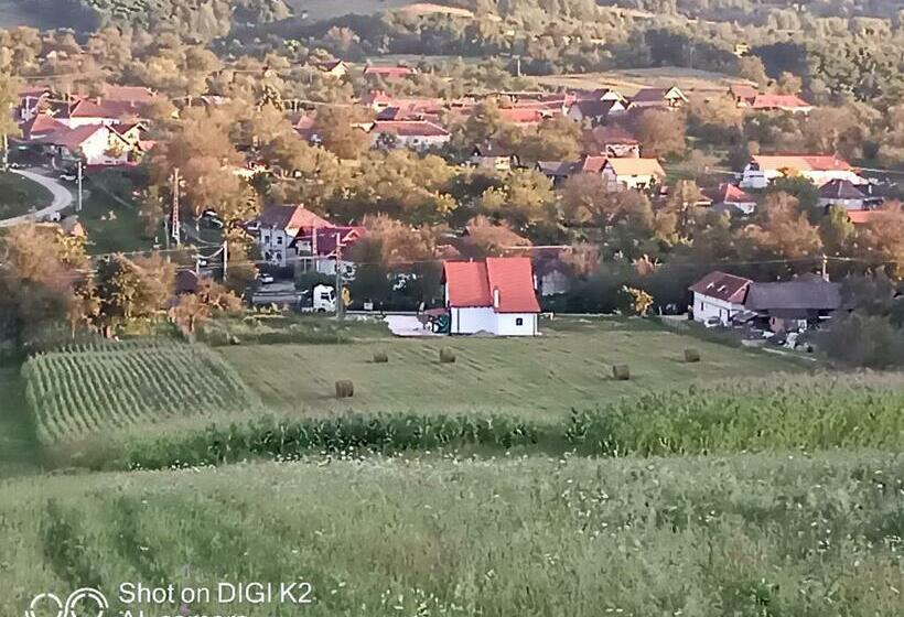 Отель Agropensiunea Răzvan
